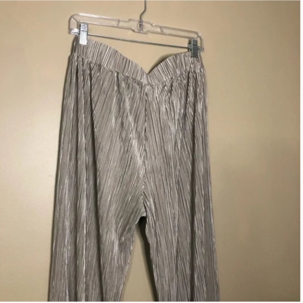 Anthropologie Dolan Pleated Pants in Taupe | Medium | Pleated Pants | Anthro - Picture 7 of 12